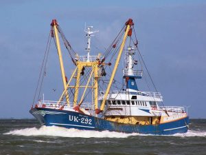 UK292HS